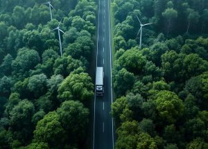 Nella foto, un autoveicolo che si muove in mezzo al verde. Rappresentazione simbolica del concetto di sostenibilità green.
